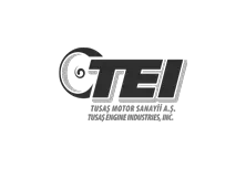tei_renksiz.png
